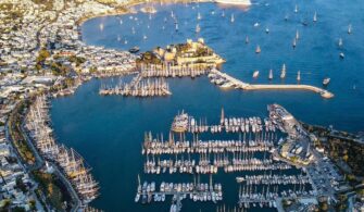 194734648_484607206118294_7278633783851665990_n