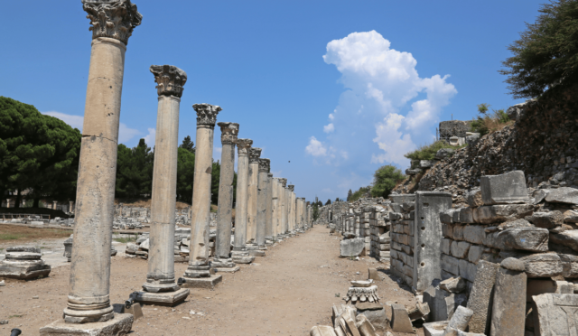 efes antik kenti (Web sitesi)-4